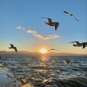 MC小苮儿最火的十首歌小咪
