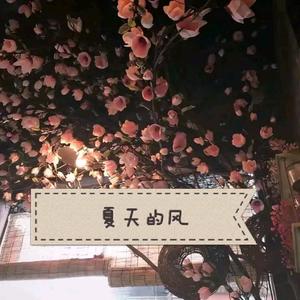 MC小苮儿最火的十首歌小咪
