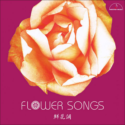 MC小苮儿最火的十首歌小咪
